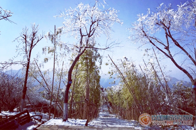  “策馬奔騰，贏戰(zhàn)羊年”寶仕龍2014年會安吉行