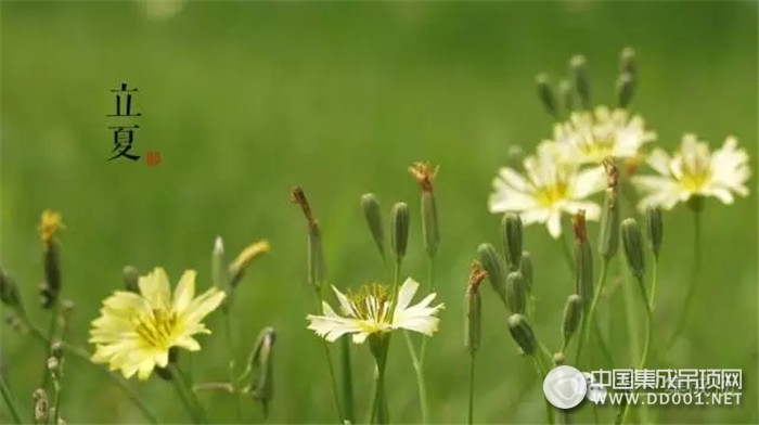 選擇這五款吊頂，寶蘭幫你打造清涼夏日衛(wèi)浴空間