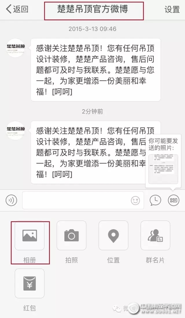 【我家的楚楚吊頂】，第四屆照片征集大賽即將開始啦