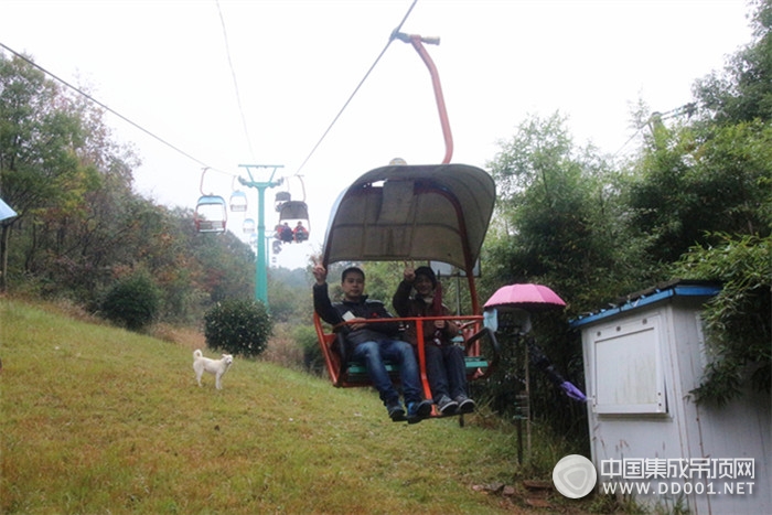 德萊寶開啟“感恩老員工”旅游活動，暢游太極洞！