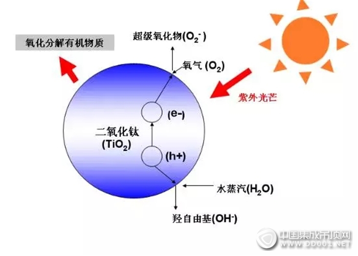 金盾頂美2017新品三凈板全新上市，百毒不侵