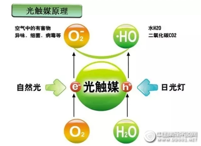 金盾頂美2017新品三凈板全新上市，百毒不侵