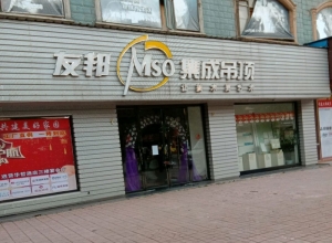 友邦集成吊頂江西南昌進賢縣專賣店