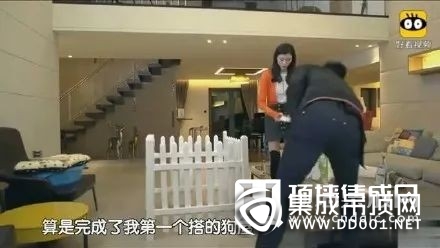 何猷君求婚奚夢瑤，浪漫都給你們，家裝交給鼎美