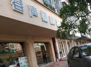 容聲集成吊頂福建泉州晉江專賣店