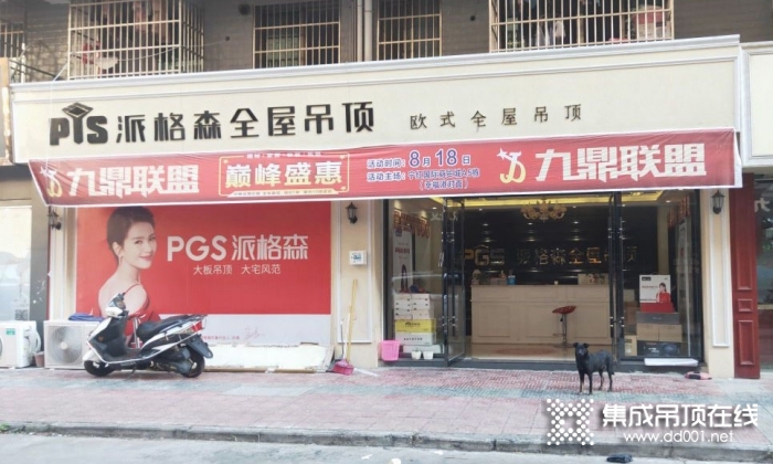 派格森全屋吊頂江西修水縣專賣店