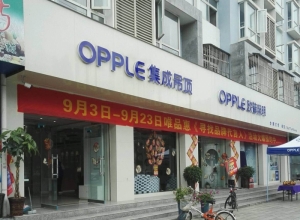 OPPLE集成吊頂陜西漢中專賣店