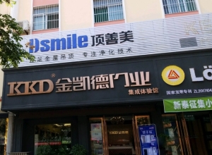 頂善美凈化吊頂山東新泰專賣店