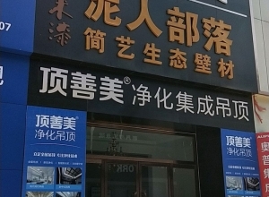 頂善美凈化吊頂河北黃驊專賣店