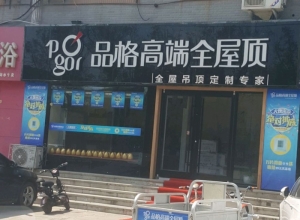 品格高端全屋頂河北衡水專賣(mài)店