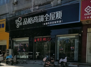 品格高端全屋頂河北寧晉專賣(mài)店