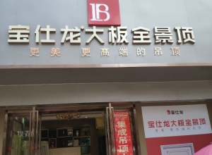 寶仕龍大板全景頂湖南婁底專賣店