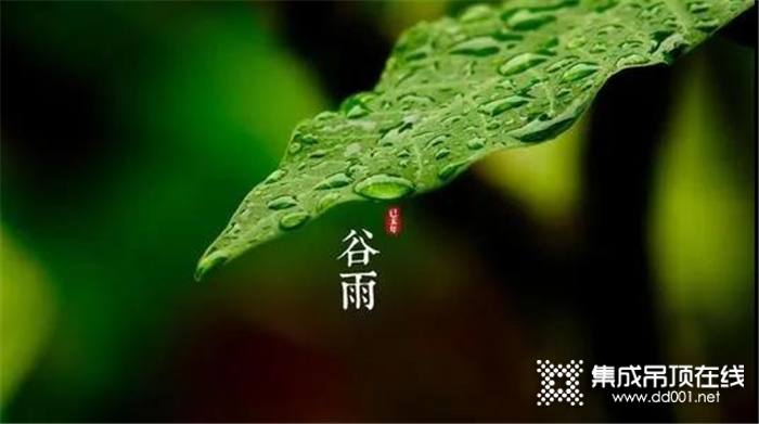 把廚房交給品格吧，給你清爽舒適的廚房好環(huán)境