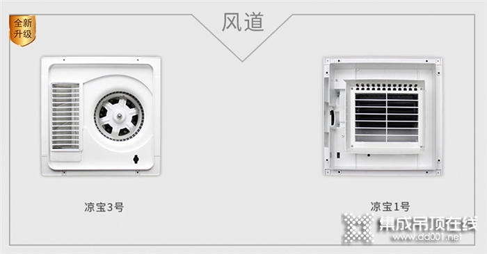 歐美涼寶1號全面升級，更名為涼寶3號啦，它就是你廚房里那顆最貼心的“菜”