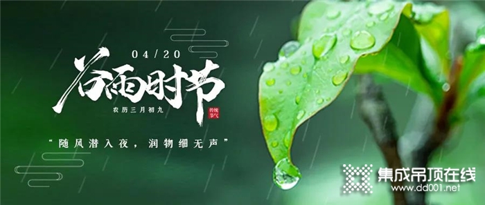 谷雨| 潤雨迎新葉，海創(chuàng)渡春光！