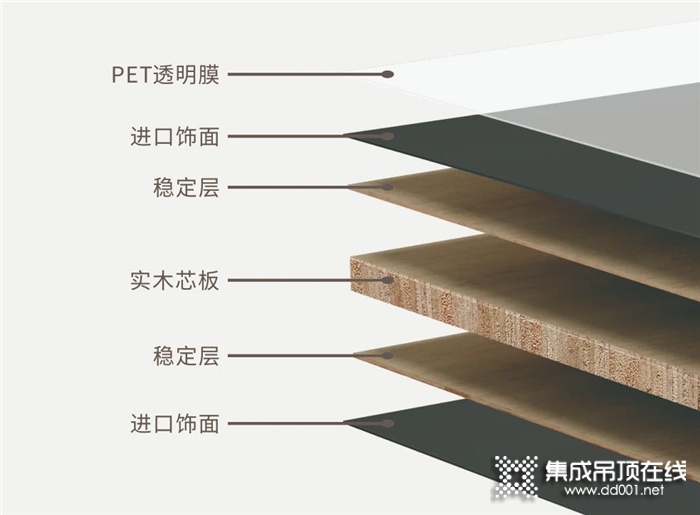 兔寶寶告訴你如何在裝修中省錢避坑？